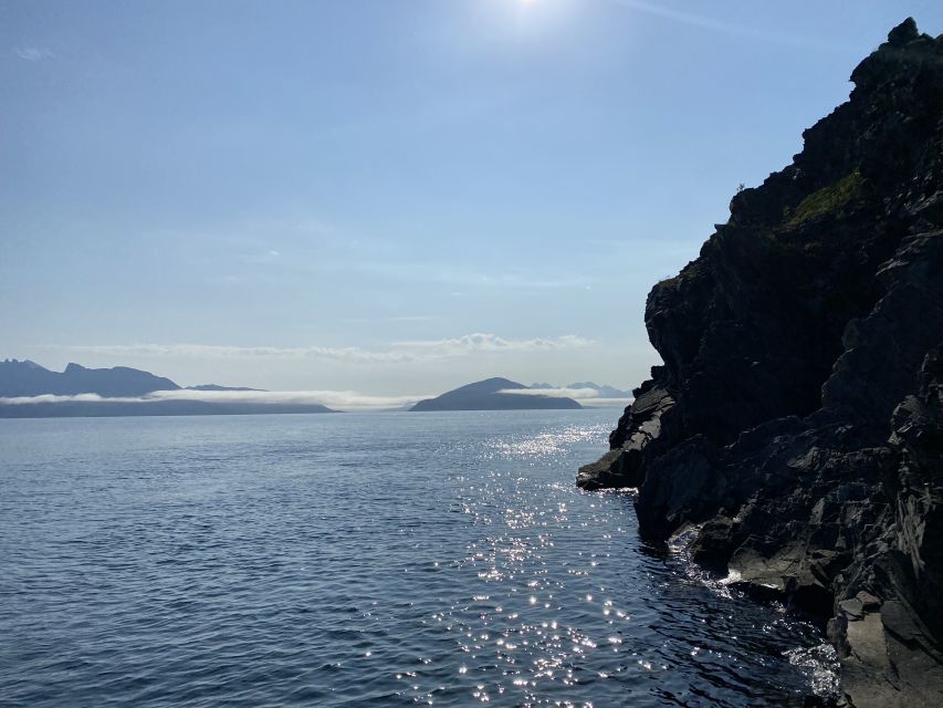 Skjervøy: Birds and Wildlife of Arctic Norway - Searching the fjords for dolphins and porpoises