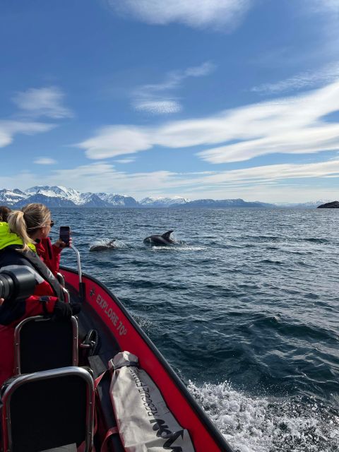 Skjervøy: Birds and Wildlife of Arctic Norway - The 9:30 departure and meeting point