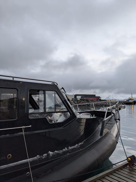 Skjervøy: Orca and Whale-Watching comfort heated Boat Trip - The boat: warmth, space, and better viewing