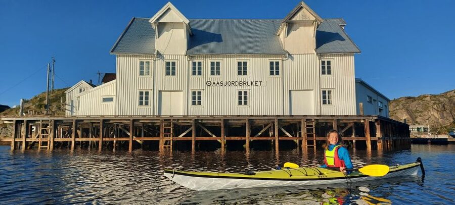 Skrova Island : 3hours Guided Kayak Tour - Skrova’s Past on the Water