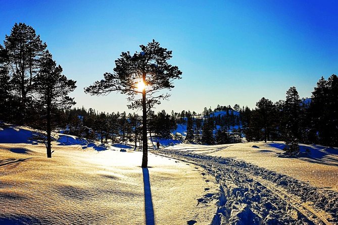 Slegding and tram-tour - Sledding without prior experience