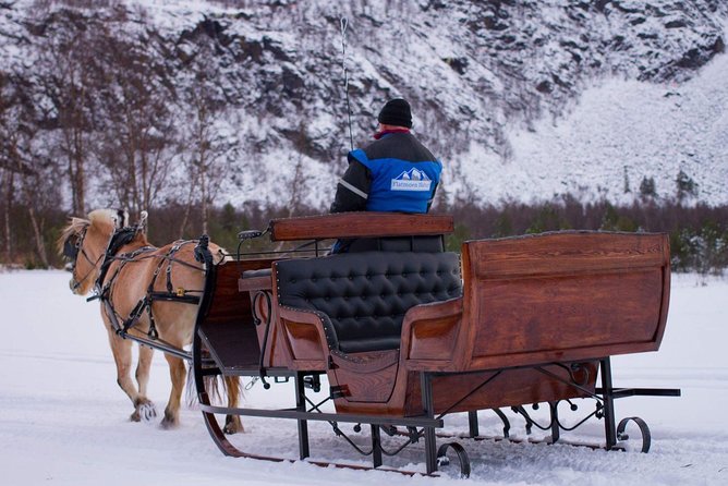 Sleigh or wagon ride in the arctic Country side - A Horse-Drawn Way Into Alta’s Winter Country