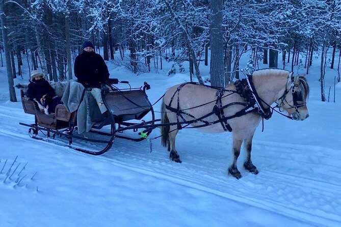 Sleigh or wagon ride in the arctic Country side - Meeting the Horse and Getting Warm