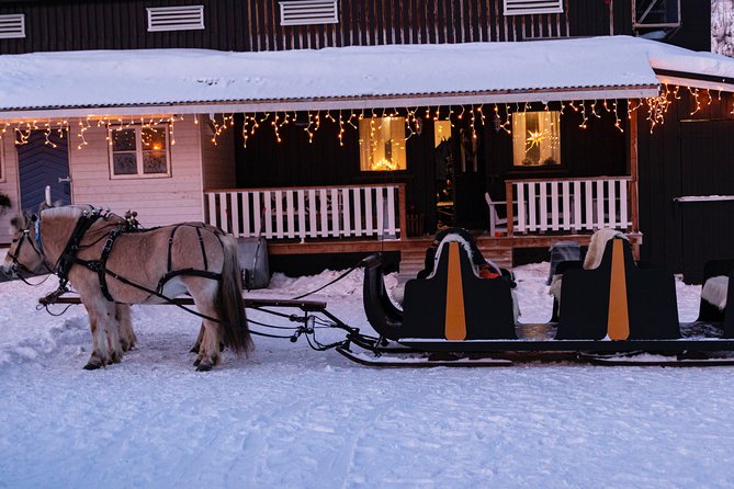 Sleigh Ride w/ snacks - Experience Arctic Farm Life - Key points to know before you book