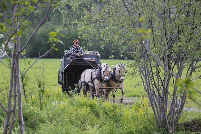 Sleigh Ride w/ snacks - Experience Arctic Farm Life - What happens when there is not enough snow