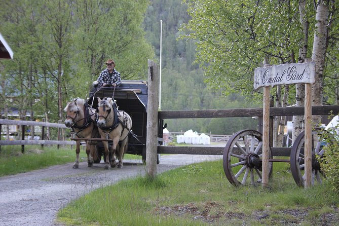Sleigh Ride w/ snacks - Experience Arctic Farm Life - How private timing changes the feel