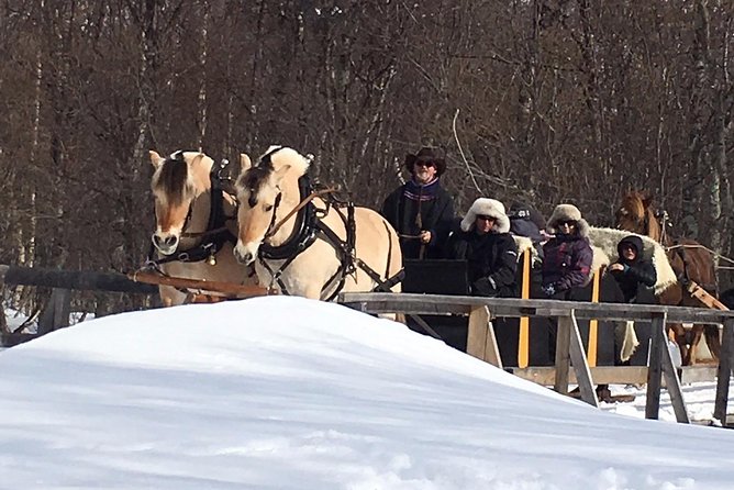 Sleigh Ride w/ snacks - Experience Arctic Farm Life - The drive from Alta to a family farm