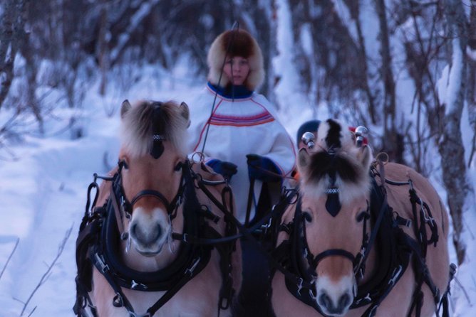 Sleigh Ride w/ Tapas Meal - Experience Arctic Farm Life - A 30 to 40 minute horse-drawn ride
