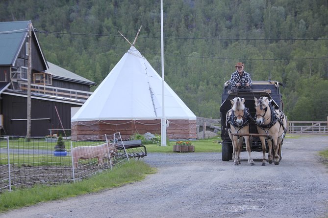 Sleigh Ride w/ Tapas Meal - Experience Arctic Farm Life - Warm clothing and practical comfort