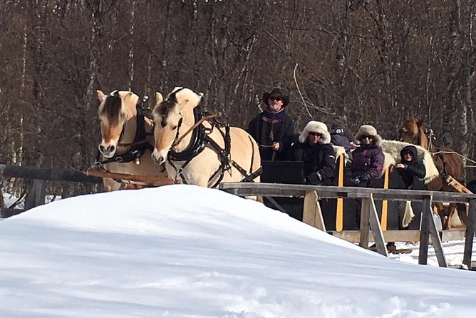 Sleigh Ride w/ Tapas Meal - Experience Arctic Farm Life - Is $236.79 good value?