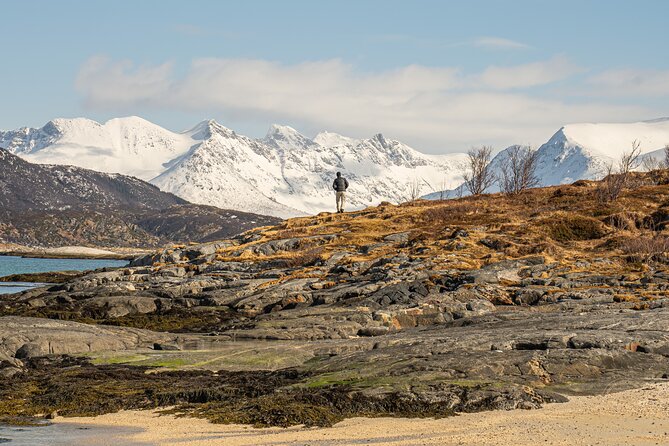 Small Group Arctic Fjords Road trip with Scenic Picnic - What the small group changes