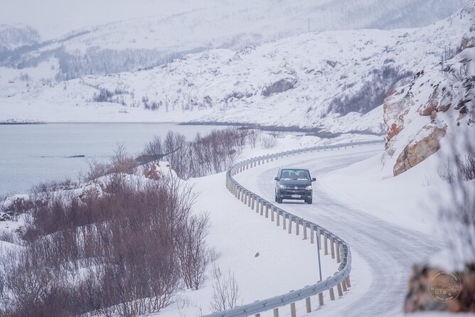 Small Group Arctic Fjords Road trip with Scenic Picnic - Photos you can enjoy after the drive