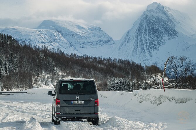 Small Group Arctic Fjords Road trip with Scenic Picnic - Is the $161.84 price fair?