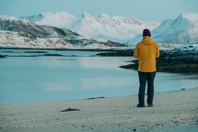 Small Group Arctic Fjords Road trip with Scenic Picnic - The road across Kvaløya