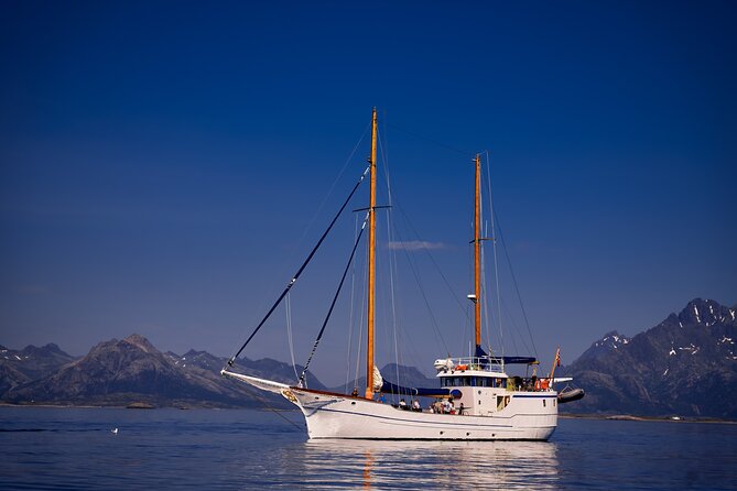 Small Group Luxury Cruise to Trollfjord on a 33m Classic Yacht - Weather, Stairs, and Practical Planning