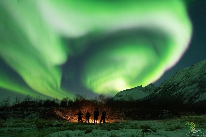 Small-Group Northern Lights Tour from Tromso with Photos - Why the $153.25 price can be fair