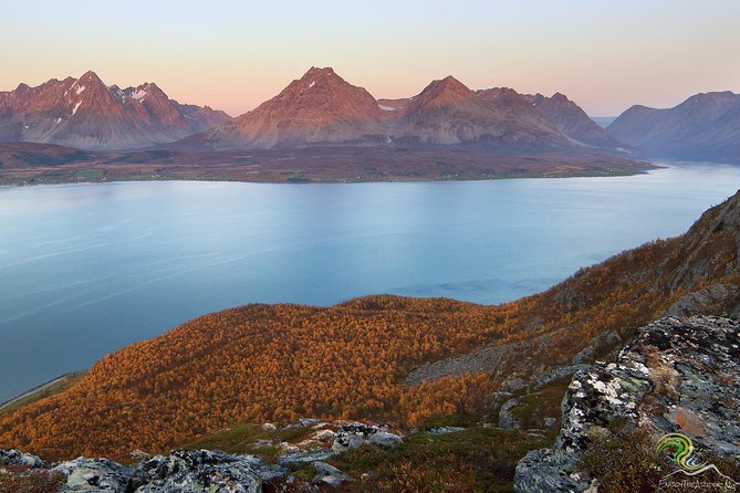 Small-Group Norwegian Fjords Tour from Tromso with Photos - Why this road trip works better than a self-drive day