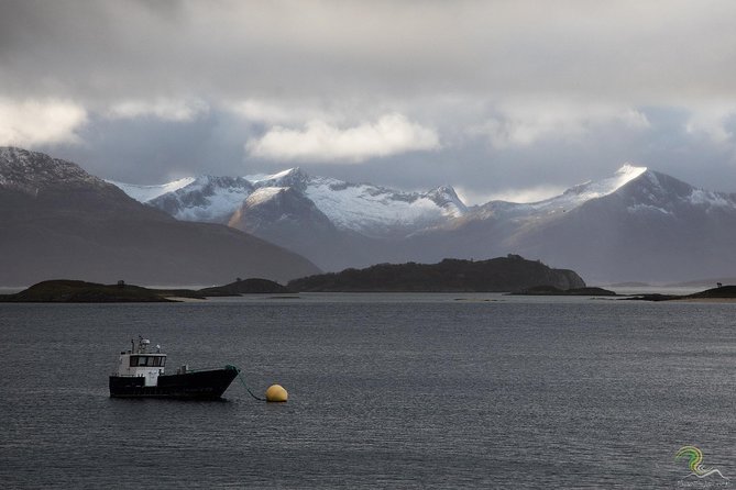 Small-Group Norwegian Fjords Tour from Tromso with Photos - What the five-hour route is really about