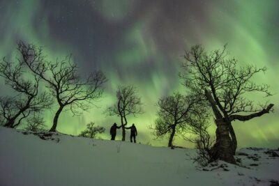 Small Group Quest to find the Northern Lights in Tromsø