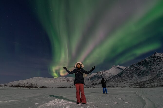 Small Group Tromsø: Northern Lights Chase with Photos and Dinner - Dinner, snacks, and the value of waiting