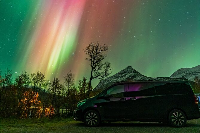 Small Group Van Journey in Search of the Northern Lights - Key points to know before booking