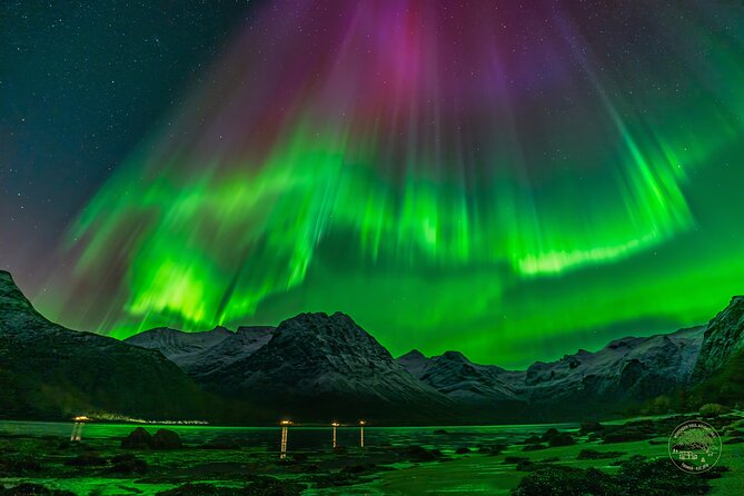 Small Group Van Journey in Search of the Northern Lights - Why this is more than a quick Tromso photo stop