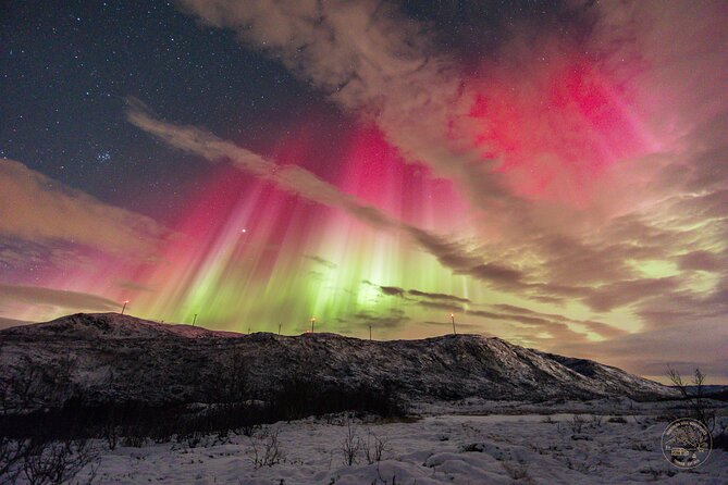 Small Group Van Journey in Search of the Northern Lights - Is $253.73 a fair price?