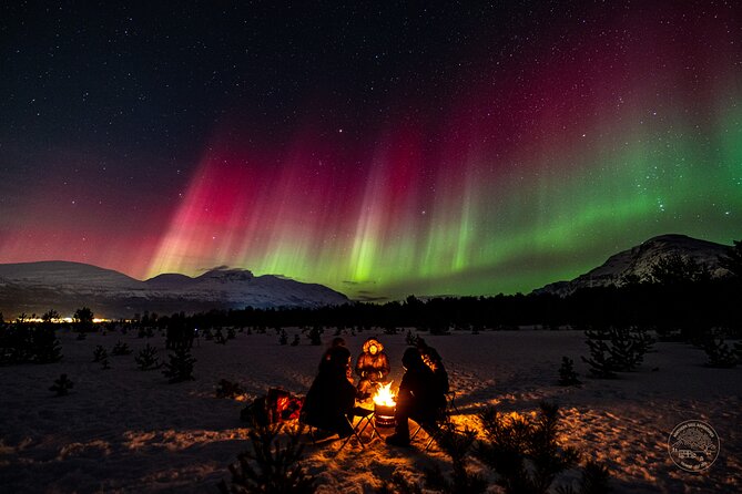 Small Group Van Journey in Search of the Northern Lights - Meeting in Tromso’s historic center