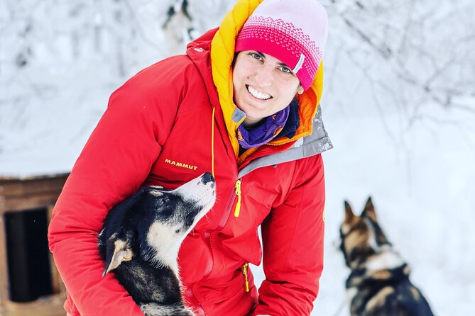 Small Group Wilderness Husky Sledding 2h from Tromsø (car needed) - A Norwegian picnic lunch on the trail