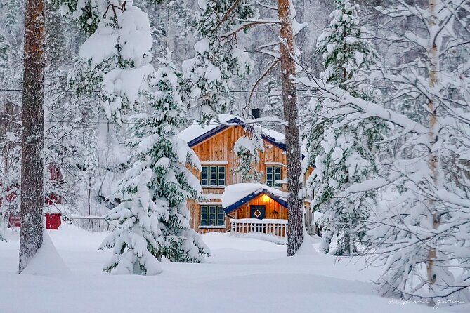 Small Group Wilderness Husky Sledding 2h from Tromsø (car needed) - Why the small group matters