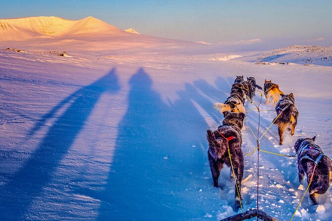 Small Group Wilderness Husky Sledding 2h from Tromsø (car needed) - The briefing prepares you for the trail