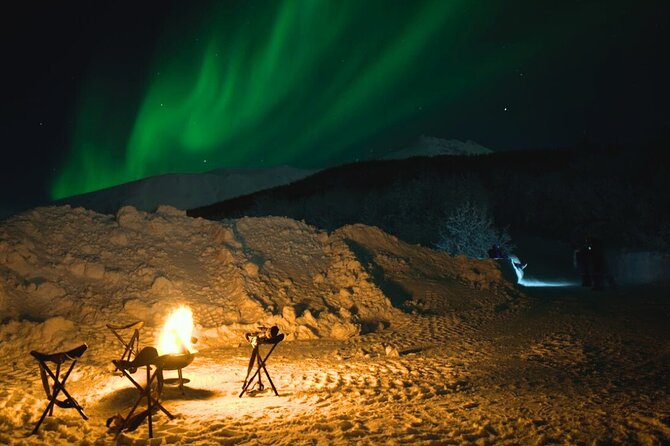 Small Northern Lights Tour Max 8 Guests Pickup and Photography - Campfire comfort in Arctic cold