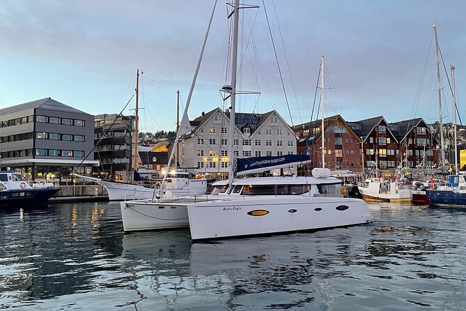 Snorkeling with Orcas In Norway, 4 days All-Inclusive expedition - Four days gives the trip room to breathe