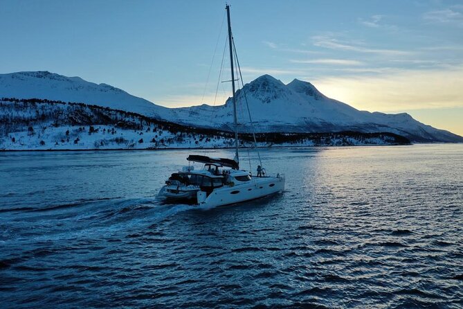 Snorkeling with Orcas In Norway, 4 days All-Inclusive expedition - Who should book this expedition?