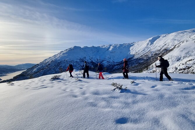 Snowshoe hiking in Bergen - Public tour - Key points to know before you book