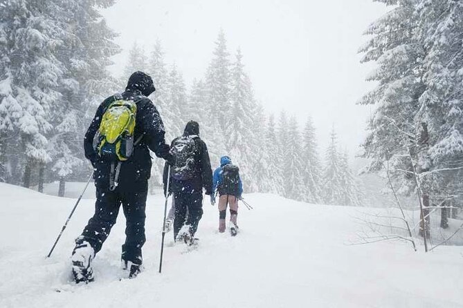 Snowshoe Tour in Winter Wonderland - Oslo - Key things to know before you book