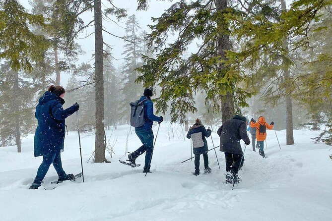 Snowshoe Tour in Winter Wonderland - Oslo - Snow, fog, and changing conditions