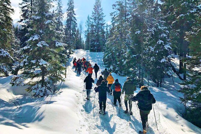 Snowshoe Tour in Winter Wonderland - Oslo - What the guide adds along the way