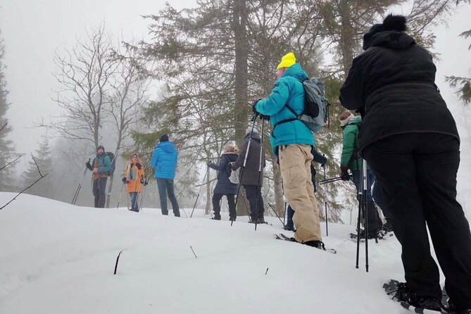 Snowshoe Tour in Winter Wonderland - Oslo - Practical details that affect your day