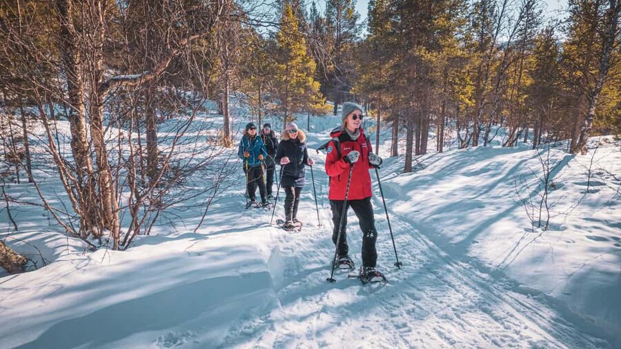 Snowshoeing Adventure to the Enchanting Frozen Waterfall - The guide makes the difference
