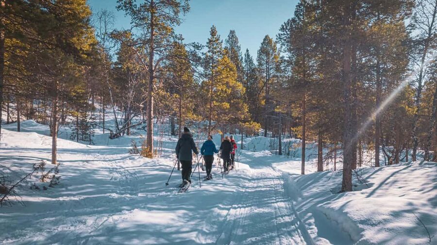 Snowshoeing Adventure to the Enchanting Frozen Waterfall - What the $187 price includes