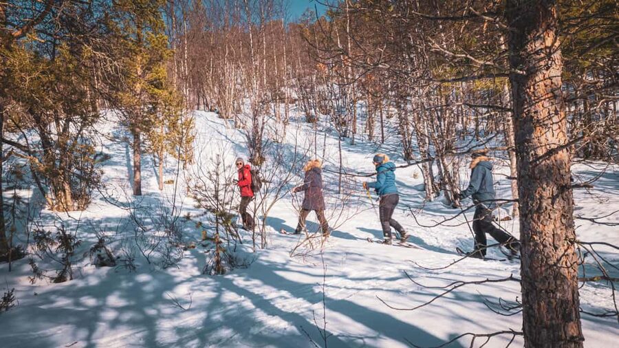 Snowshoeing Adventure to the Enchanting Frozen Waterfall - Who will enjoy this most
