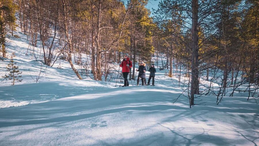 Snowshoeing Adventure to the Enchanting Frozen Waterfall - Meeting in Alta and getting to the trail