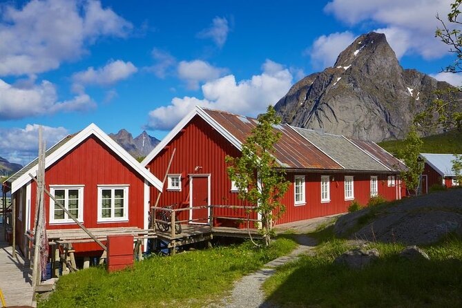 Special Summer Cruise Bus Tour of Lofoten - Why this bus tour makes sense from Leknes