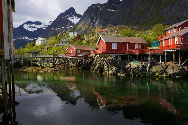 Special Summer Cruise Guided Tour of Lofoten - Why this is a useful way to see Lofoten