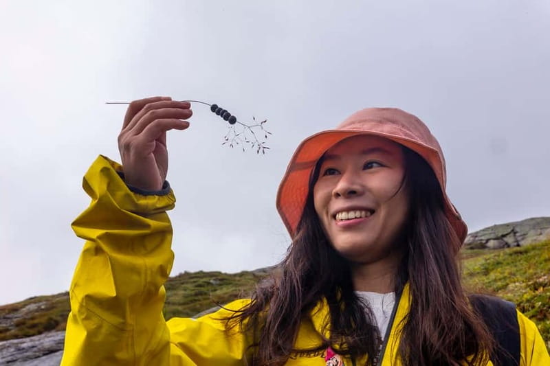Stavanger: Kjerag Summer Hike with Packed Lunch - Key points at a glance