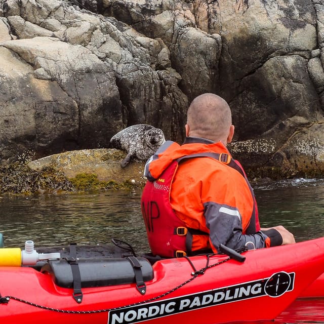 Stavanger: Lysefjord Kayak Safari (Waterfalls & Pulpit Rock) - What is included for $291