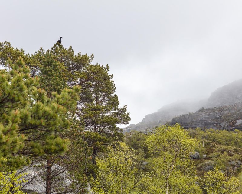 Stavanger: Preikestolen Hidden Trail Hike + Canoe + Lunch - Who should book this experience?