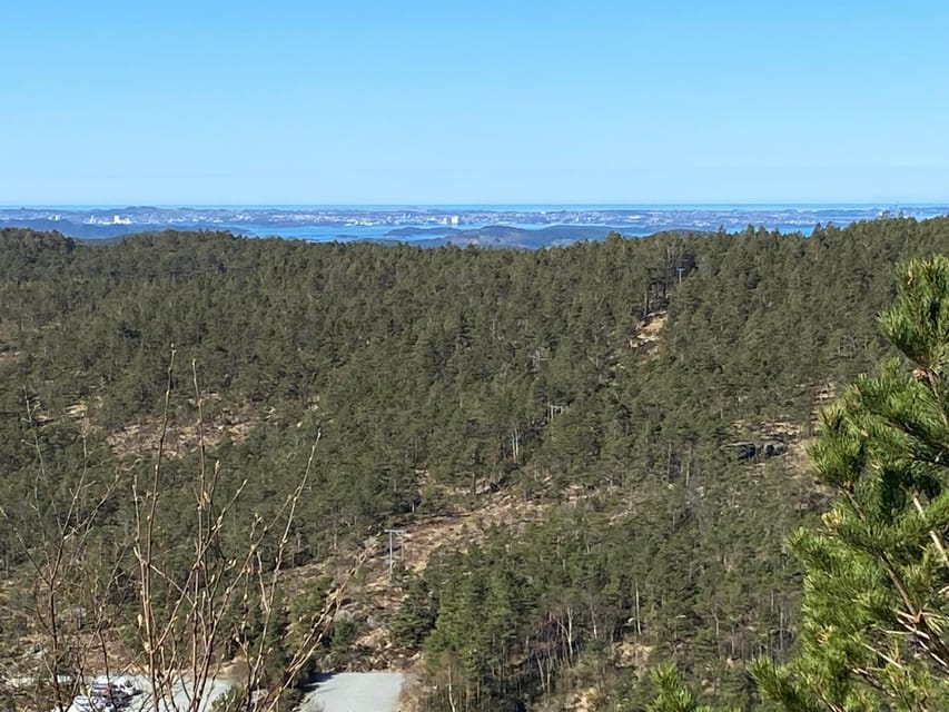 Stavanger: Preikestolen Tour with Guide and Pickup - The return hike and drive back to Stavanger