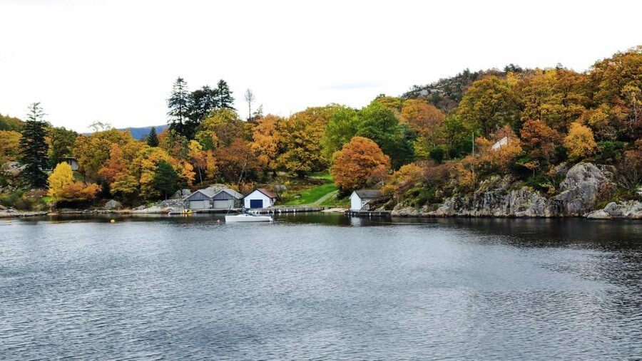 Stavanger: Scenic Fjord Cruise to Lysefjord and Preikestolen - Getting good value from the $82 price